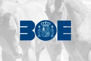 boe reglamento caballo hispano arabe
