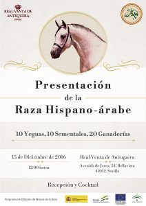 Presentación de la Raza HA 2016